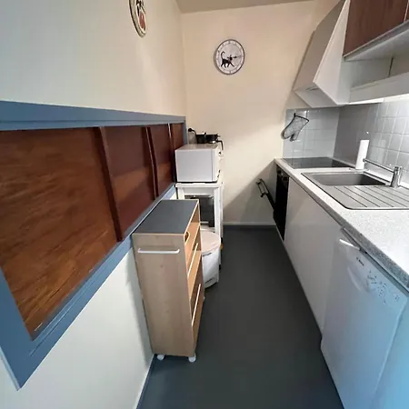 아파트 Loue Au Dore Auvergne